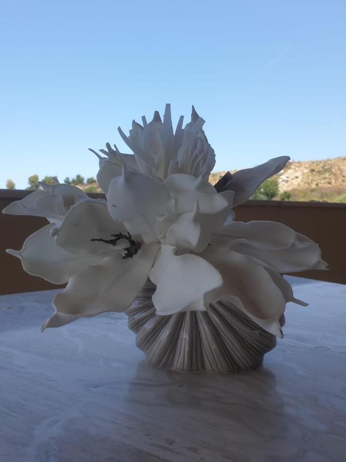 Raggi Di Sole Bed & Breakfast Custonaci Exterior foto