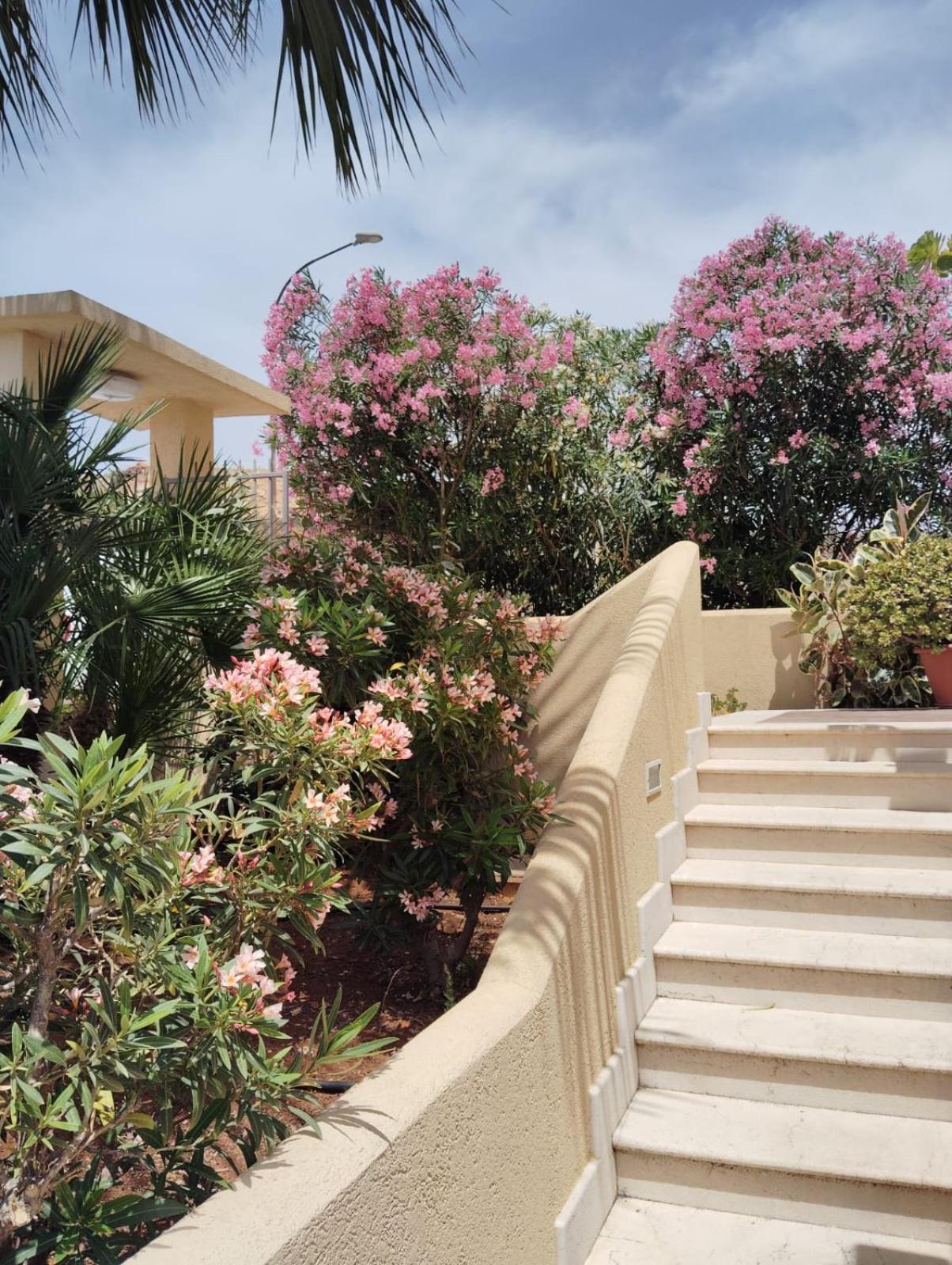 Raggi Di Sole Bed & Breakfast Custonaci Exterior foto